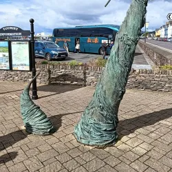 Fungie the Dolphin - Dingle