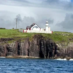 Fungie the Dolphin - Dingle