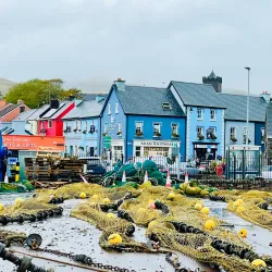 Fungie the Dolphin - Dingle