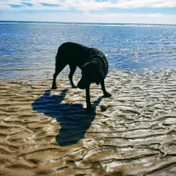 Donabate Beach Park - Donabate