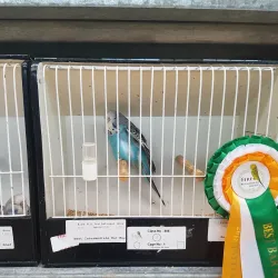 Donabate Community Centre - Donabate