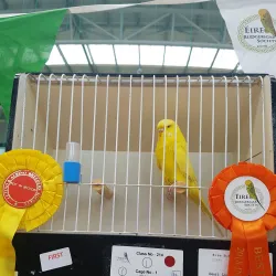 Donabate Community Centre - Donabate