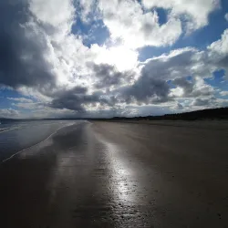 Donabate Estuary - Donabate