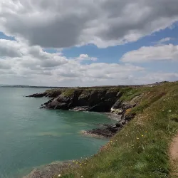 Donabate Estuary - Donabate