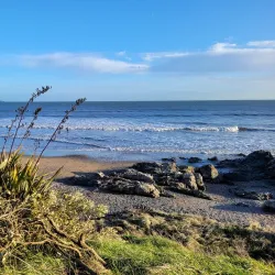 Donabate Estuary - Donabate
