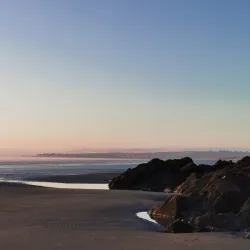 Donabate Estuary - Donabate