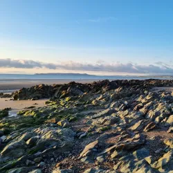Donabate Estuary - Donabate