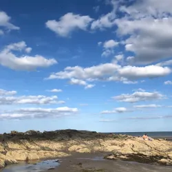 Donabate Estuary - Donabate