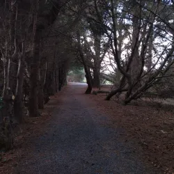 Donabate Golf Club - Donabate