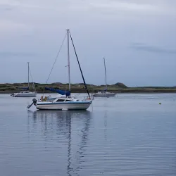 Malahide Estuary Nature Reserve (nearby) - Donabate