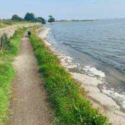 Malahide Estuary Nature Reserve (nearby) - Donabate