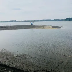 Malahide Estuary Nature Reserve (nearby) - Donabate
