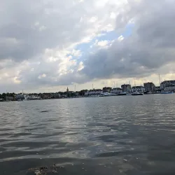 Malahide Estuary Nature Reserve (nearby) - Donabate