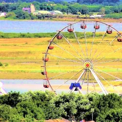 Malahide Estuary Nature Reserve (nearby) - Donabate