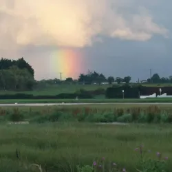 Malahide Estuary Nature Reserve (nearby) - Donabate