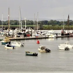 Malahide Estuary Nature Reserve (nearby) - Donabate