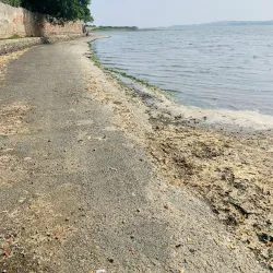 Malahide Estuary Nature Reserve (nearby) - Donabate