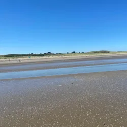 Pampooties Beach - Donabate