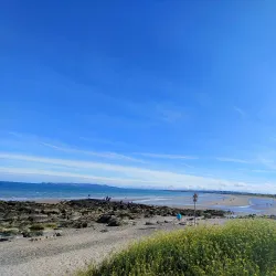 Pampooties Beach - Donabate