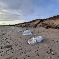 Portrane Beach - Donabate