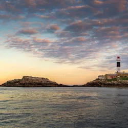 Rockabill Lighthouse (view from shore) - Donabate