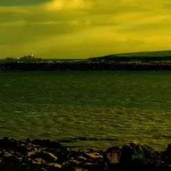 Rockabill Lighthouse (view from shore) - Donabate