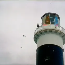 Rockabill Lighthouse (view from shore) - Donabate