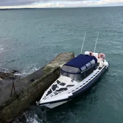 Rockabill Lighthouse (view from shore) - Donabate