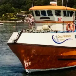 Cork Harbour - Douglas