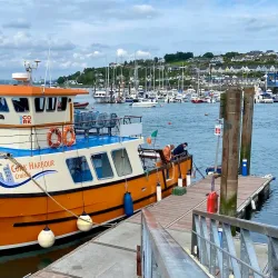 Cork Harbour - Douglas