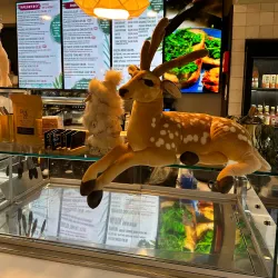 Douglas Court Shopping Centre - Douglas