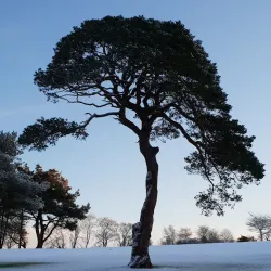 Douglas Golf Club - Douglas