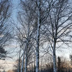 Douglas Golf Club - Douglas