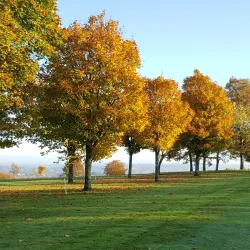 Douglas Golf Club - Douglas