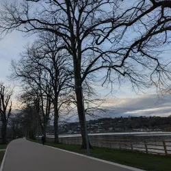 The Marina Walk - Douglas