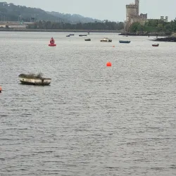 The Marina Walk - Douglas