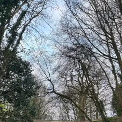 The Marina Walk - Douglas