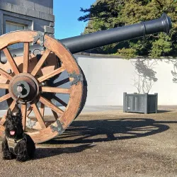 Battle of the Boyne Visitor Centre - Drogheda
