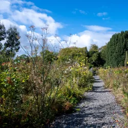 Beaulieu House and Gardens - Drogheda
