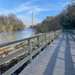 Boyne River Walk - Drogheda