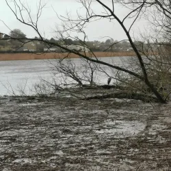 Boyne River Walk - Drogheda