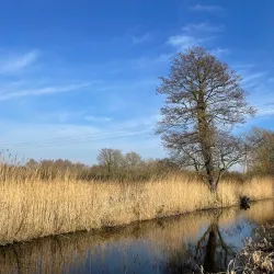 Boyne River Walk - Drogheda