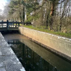 Boyne River Walk - Drogheda