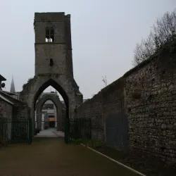 Old Abbey - Drogheda