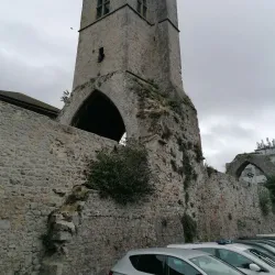 Old Abbey - Drogheda