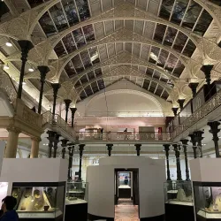 National Museum of Ireland – Archaeology - Dublin