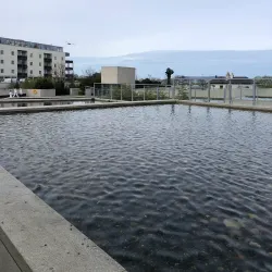 LexIcon Library and Cultural Centre - Dun Laoghaire