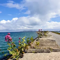 West Pier - Dun Laoghaire