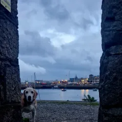 West Pier - Dun Laoghaire