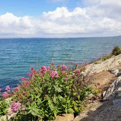 West Pier - Dun Laoghaire